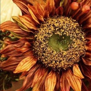 Meet your Posher, Rachael